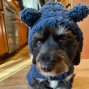 Meet your Posher, Christine